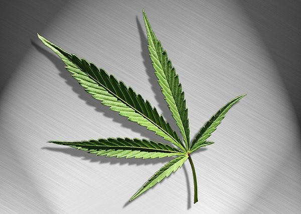 Zimbabwe legalises marijuana for medicinal use
