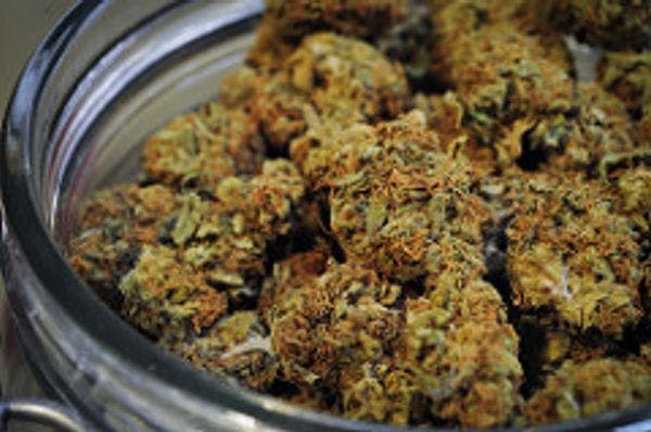 California to vote on legalising marijuana for recreational purposes