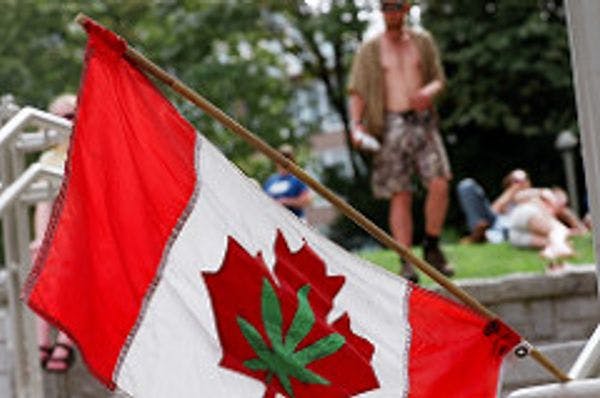  New cannabis-amnesty bill could pardon 10,000 people, Ottawa says
