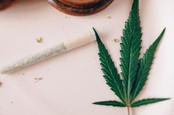 Health and social responses to cannabis problems in Europe — time for a paradigm shift?