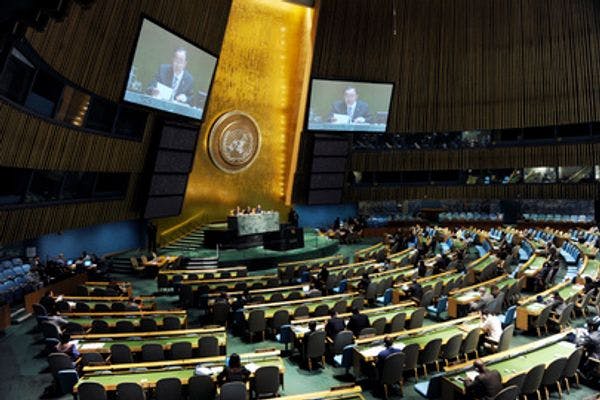 Déclaration de l'IDPC  à  l'Assemblée Générale de l'ONU : « drogues et criminalité: menaces pour le développement »