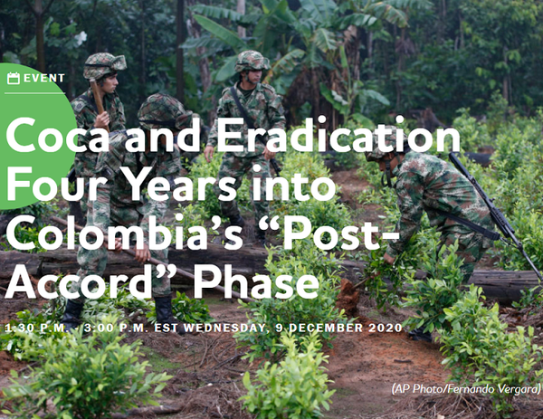 Coca and eradication four years into Colombia’s “Post-Accord” phase