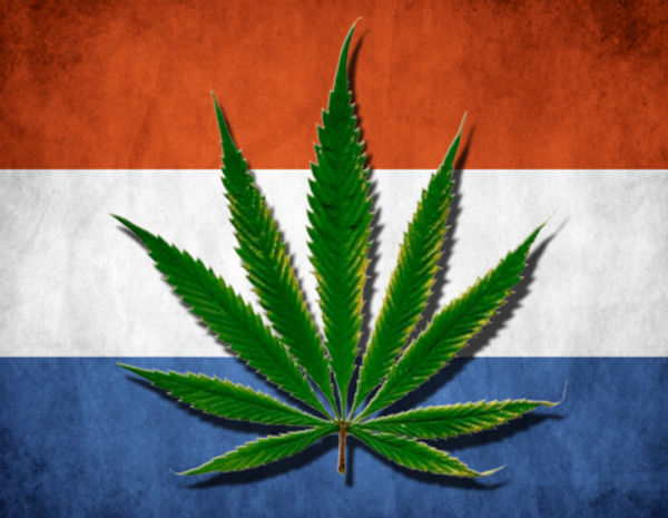 Les Pays-Bas sont prêts à réguler le cannabis