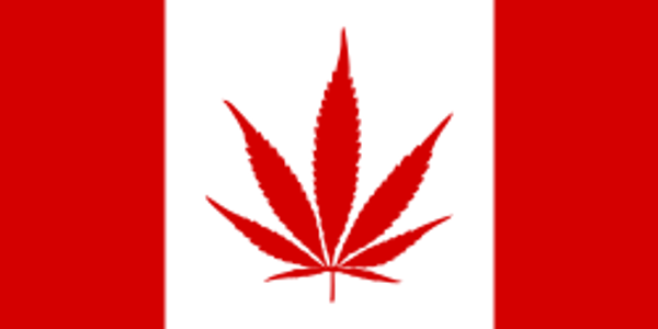 Le colonialisme canadien en matière de cannabis