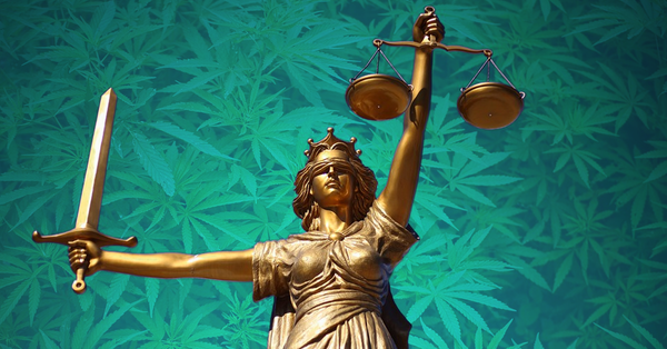 Cannabis control and the right to privacy