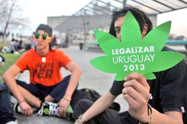 Uruguay da un paso más para convertirse en el primer país que regula legalmente la marihuana