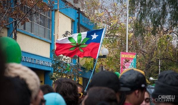 Chile lawmakers approve marijuana decriminalisation bill
