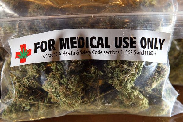 Medical cannabis crop allowed by Chilean government