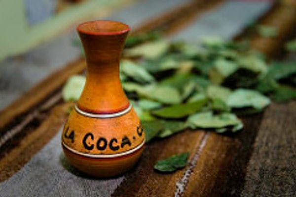 The future of coca industrialization in Colombia—A pathway to development and peace