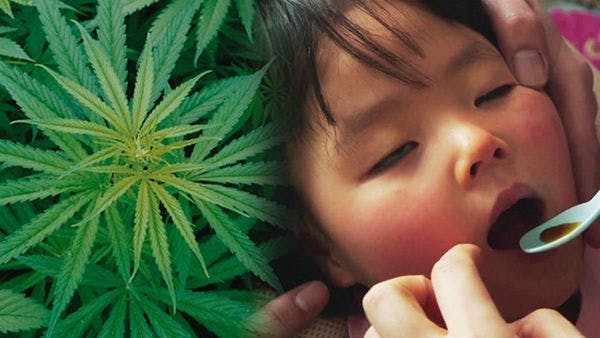 The battle for medical marijuana in Japan 