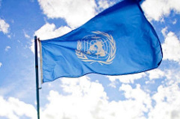 Legal experts urge UN to reject drug courts